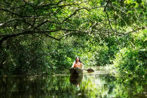 Yasuni
