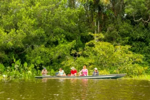 Exploring the Amazon