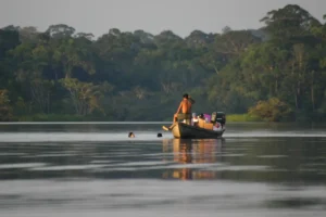 amazon tour activities