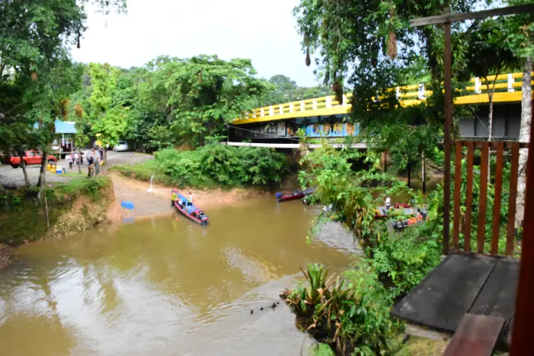 puente cuyabeno