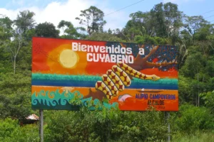 Discovering the Amazon Rainforest