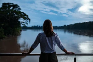 Rainforest River Cruises