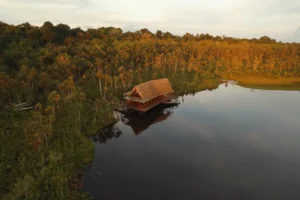 Sacha Lodge