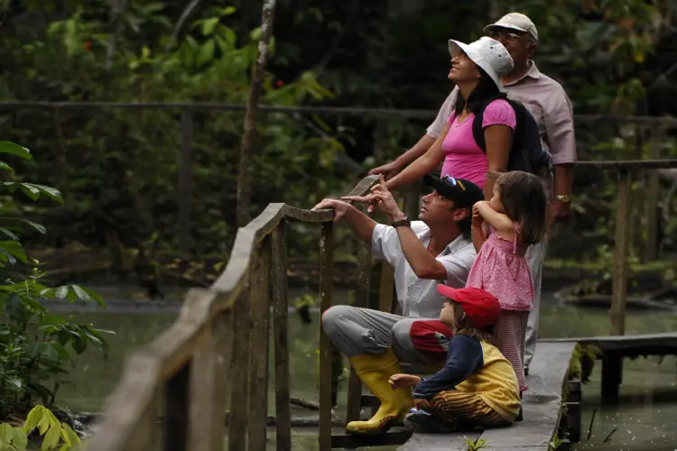 birdwatching yarina lodge