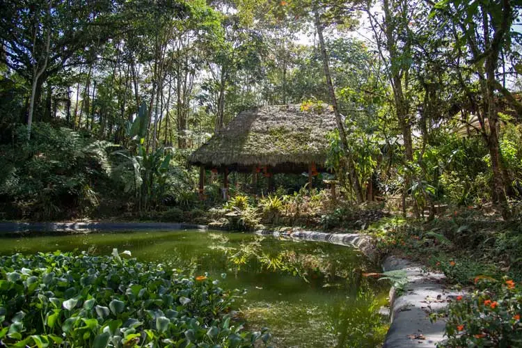 Sachatamia Lodge