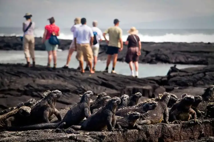 Galapagos-Fernandina-Island
