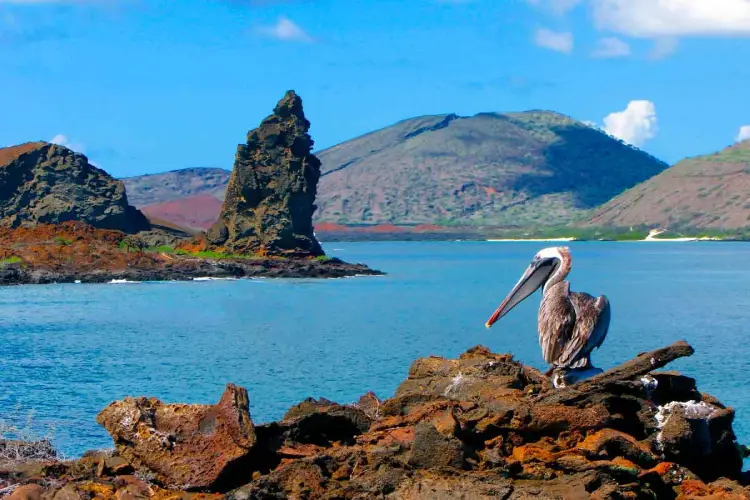 Galapagos-San-Bartolome