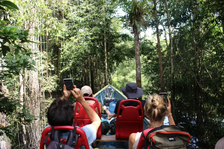 Nicky Amazon Lodge NAVIGATE