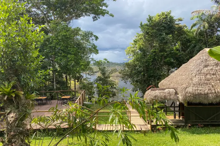 cuyabeno lodge view