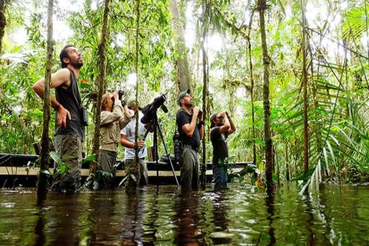 cuyabeno-wildlife-reserve-birdwatching