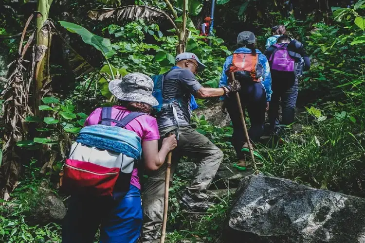hiking-jungle-cuyabeno