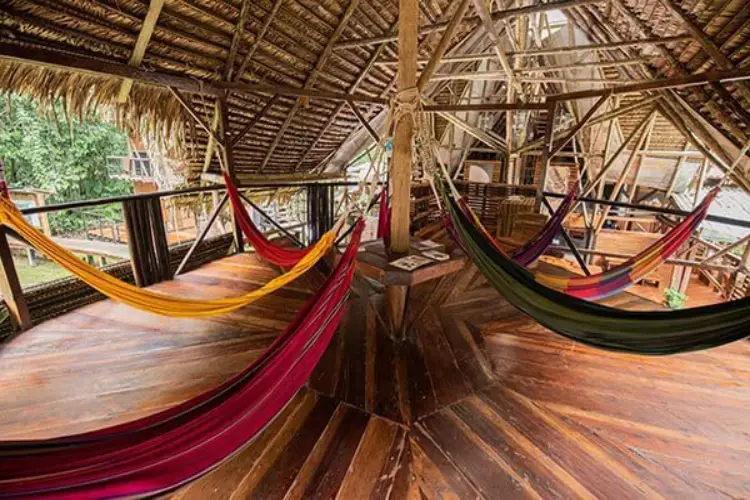 jamu-lodge-areas
