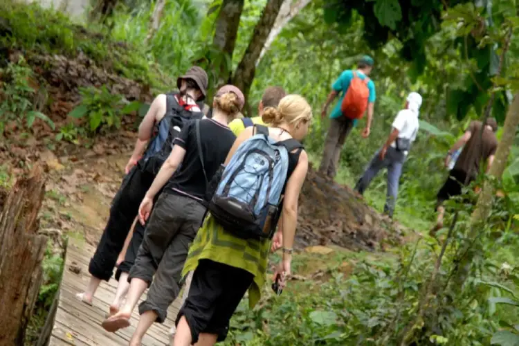 jamu lodge walk