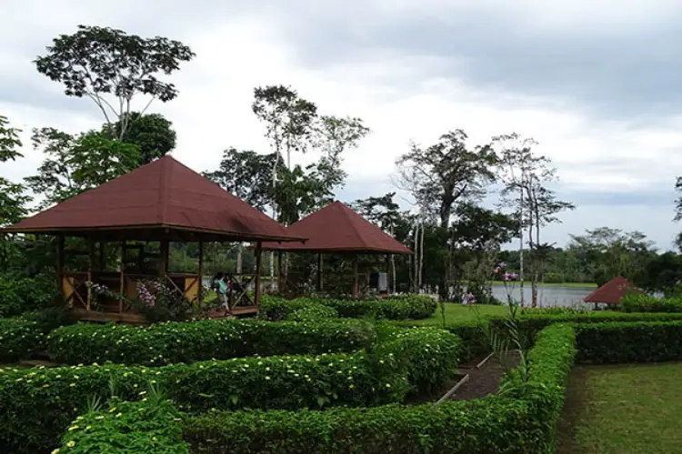 Eden Amazon Lodge in Ecuador