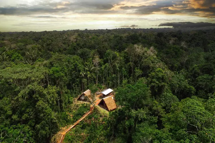 WAO-Glamp-Yasuni-camp