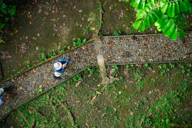 la-selva-lodge-path