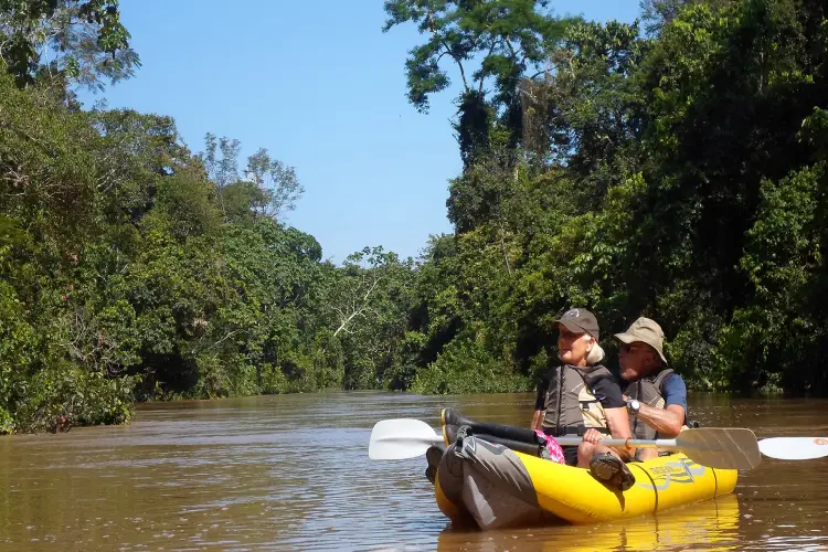 wao kamp Kayak