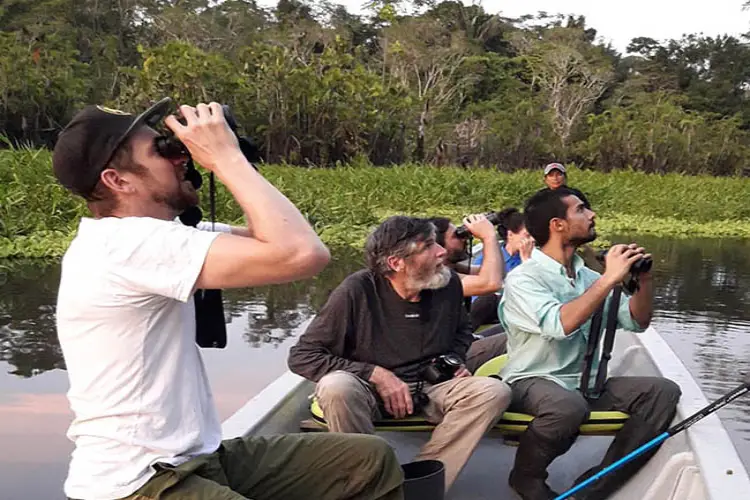 wildlife-Eden-Amazon-Lodge-birding