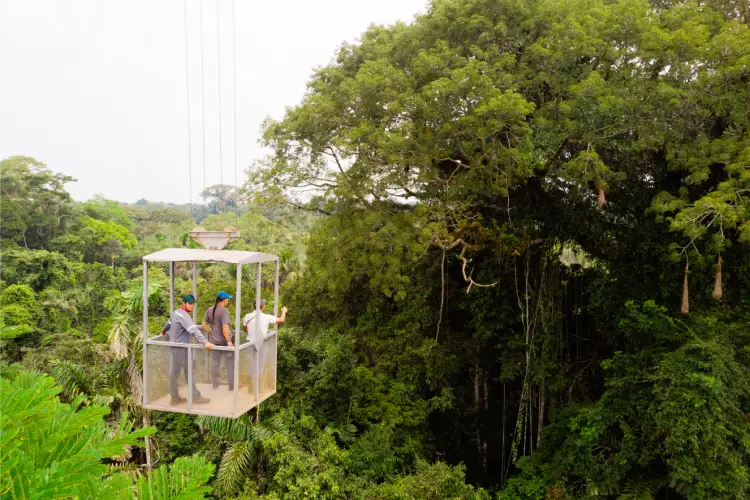 Canopy Exploration Crane - Sacha Lodge