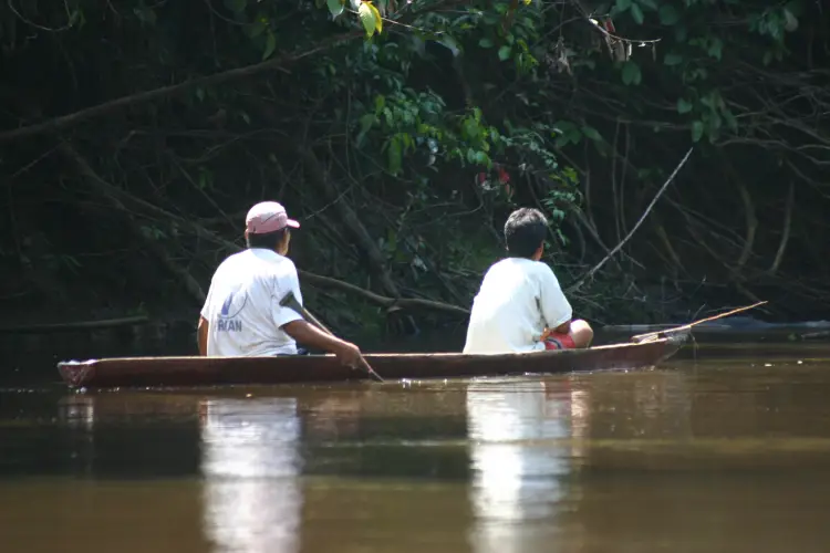 yasuni ecolodge navegate