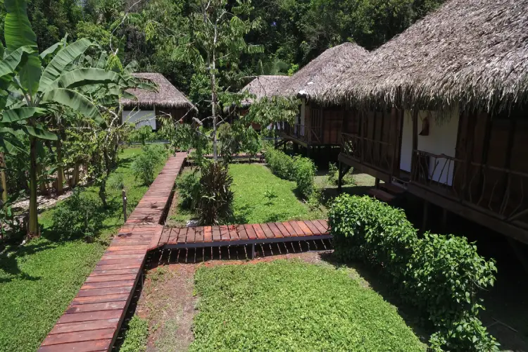 Sacha_Lodge_ huts