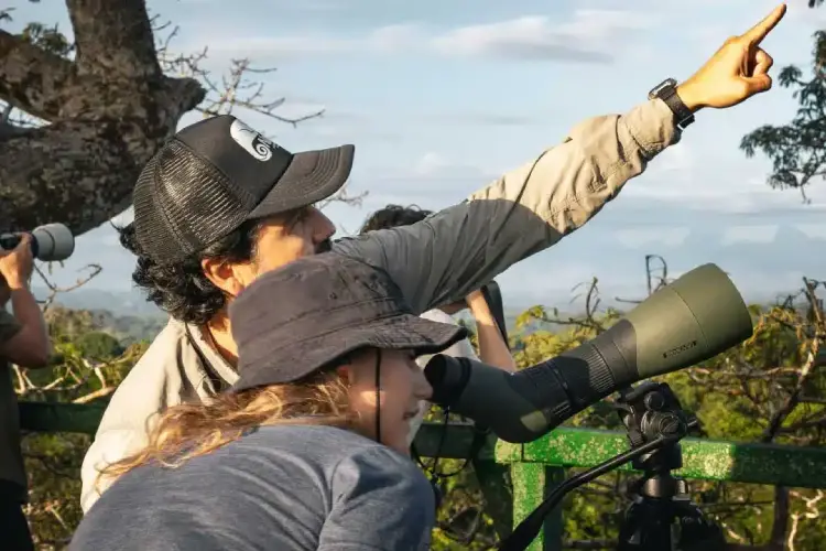 napo-wildlife-center-birdwatching
