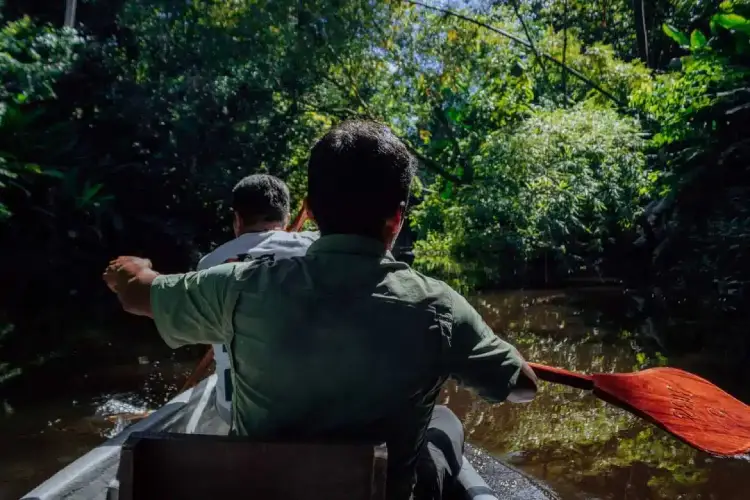 napo-wildlife-center-jungle