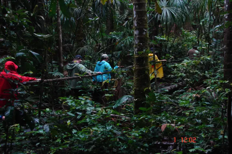 sani lodge rainforest