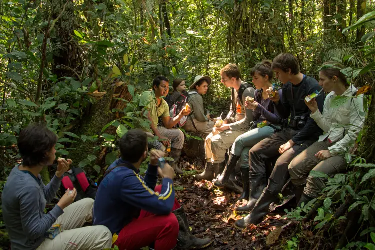 yasuni lodge yasuni trek