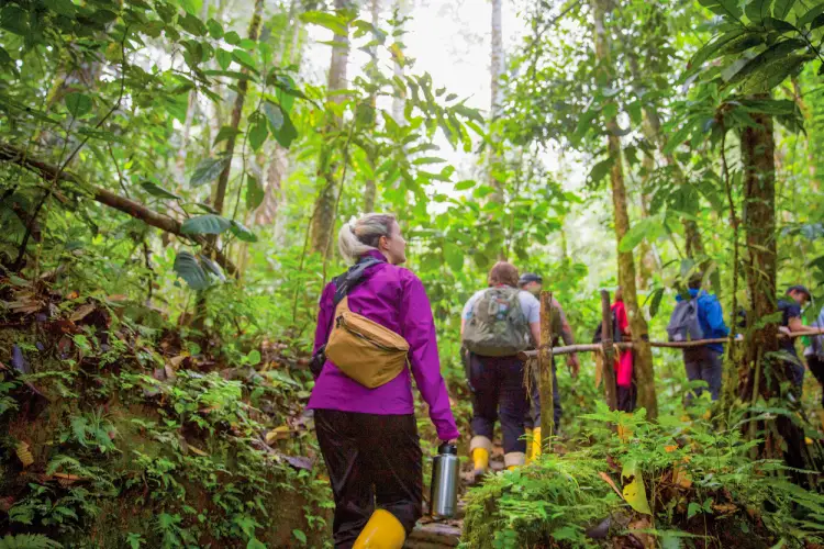 Minga Lodge jungle trek