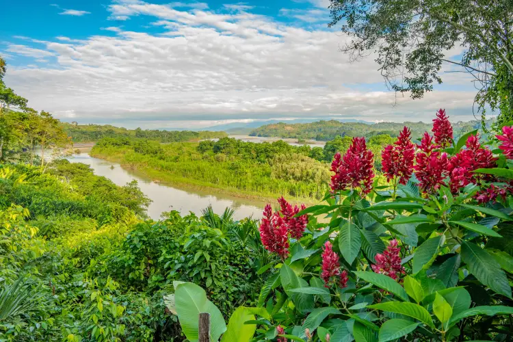 River Napo view