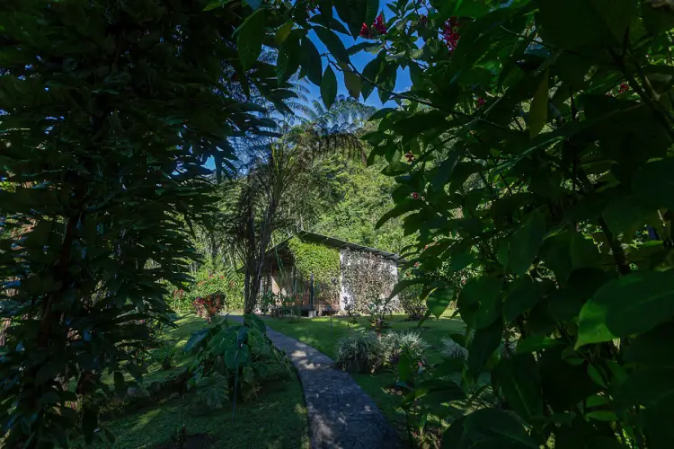 kuyana lodge path jungle