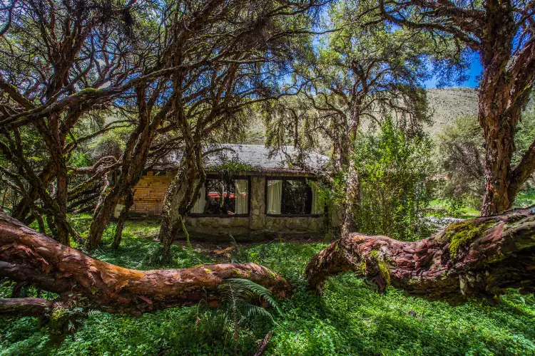 Polylepis Lodge cabana