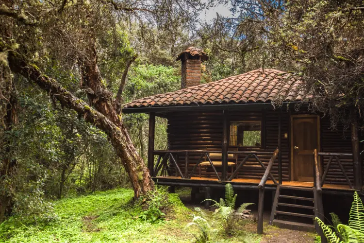 Polylepis Lodge lodge photo