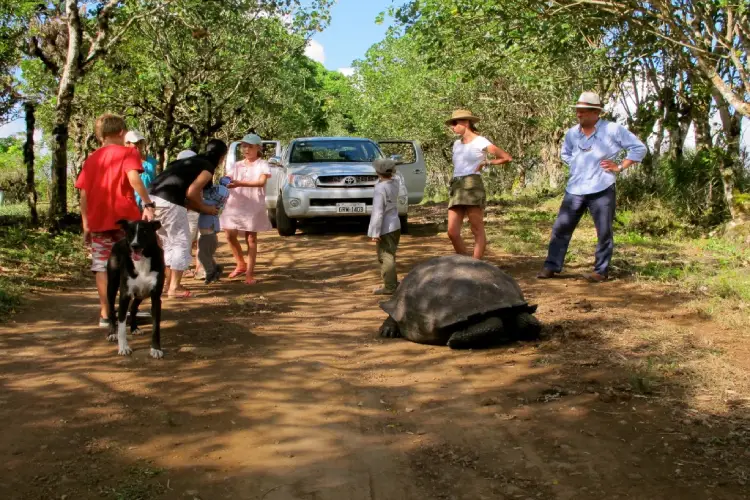Safari Camp - tortugas