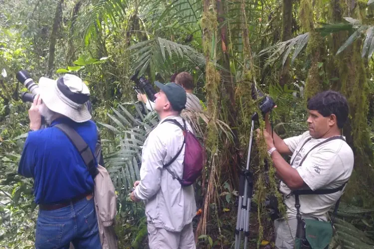 maquipucuna lodge birding (1)