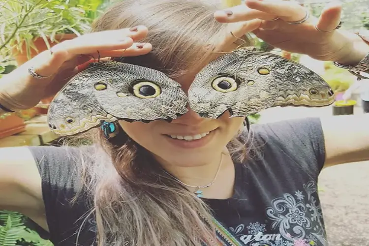 maquipucuna lodge mariposario