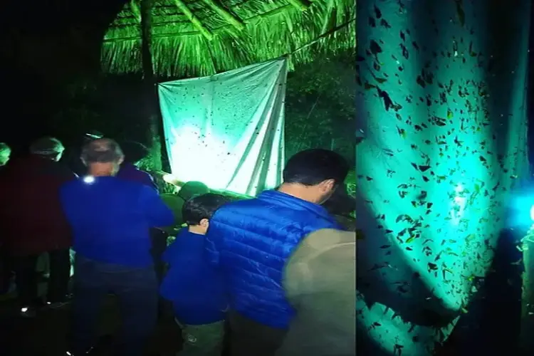 maquipucuna lodge night