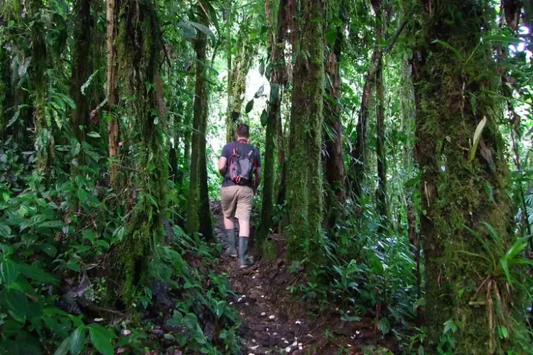 maquipucuna lodge rainforest