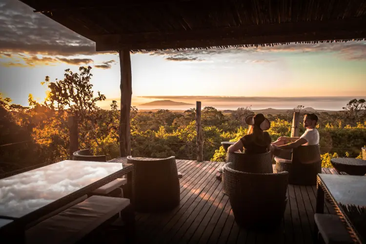 safari camp relax