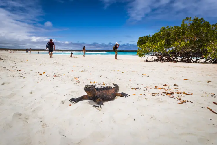 tour galapagos