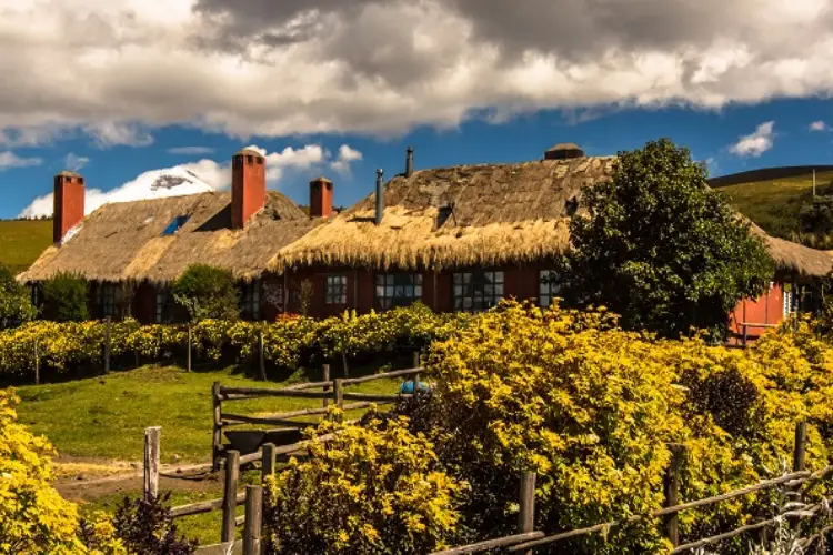 Hacienda El Porvenir