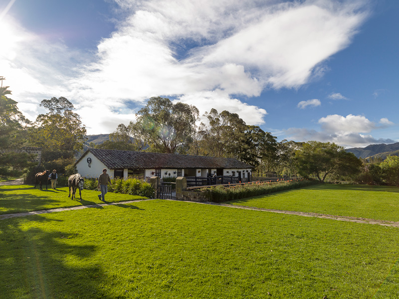 countryside