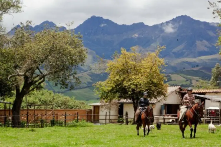 hosteria papagayo horses
