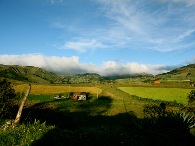 zuleta community