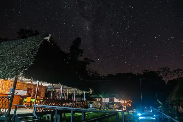Green Forest Ecolodge Huts night