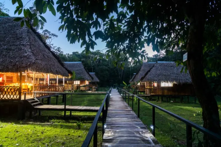Green Forest Ecolodge Huts1
