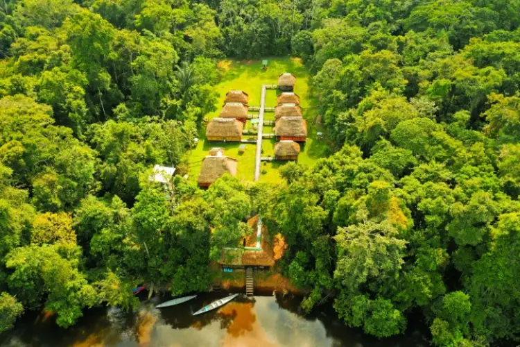 Green Forest Ecolodge lodge