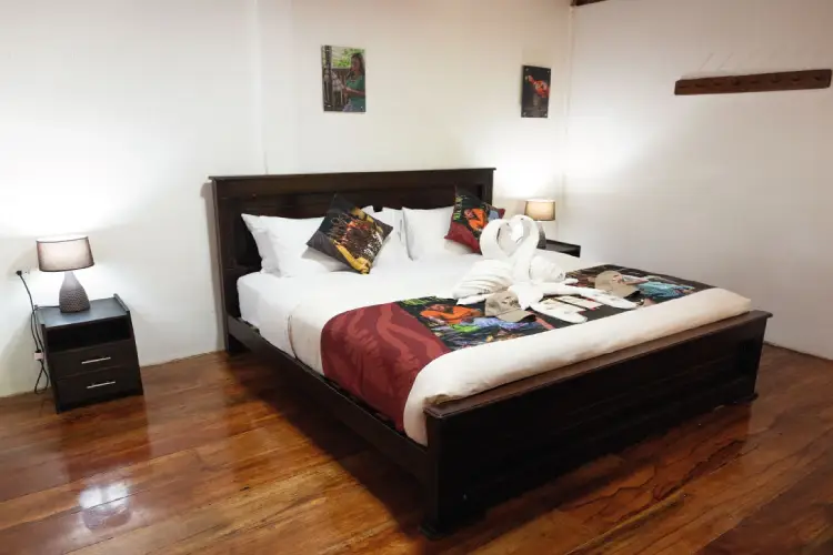 yasuni ecolodge-Mini-Suite