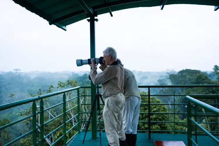 yasuni ecolodge birdwatching